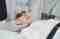 This image for Image Layouts addon